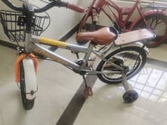 baby cycle