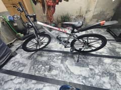 Royal Bicycle (26 inch)