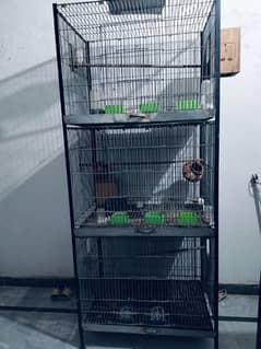 3 portion cage 03125477801