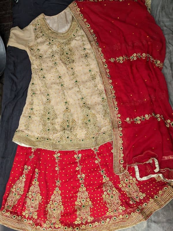 Bridel . lehnga . 1