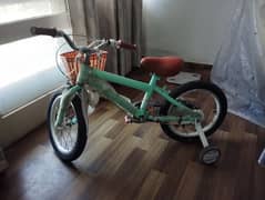 Bicycle