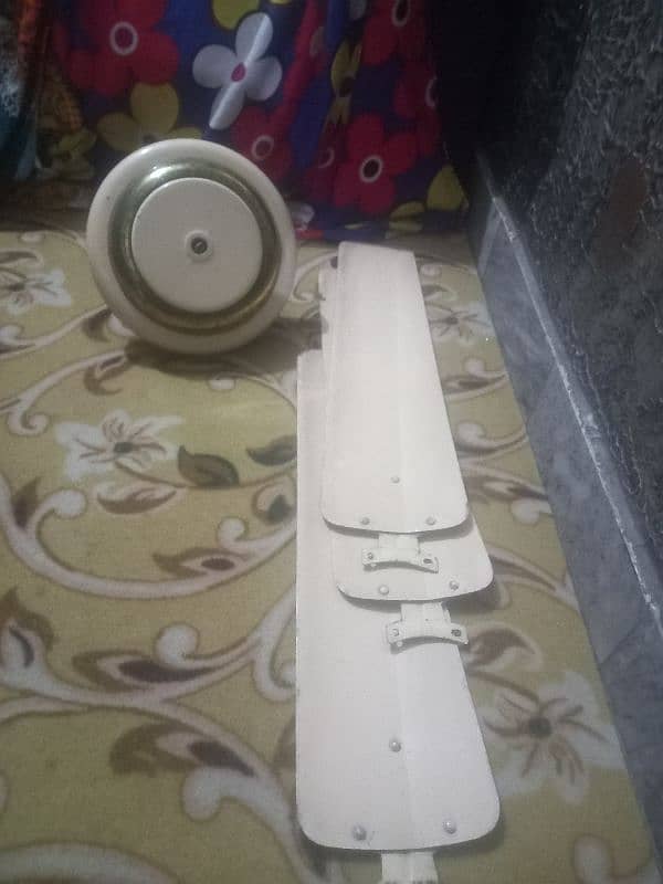 1 fan 1