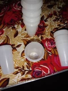 Kulfi