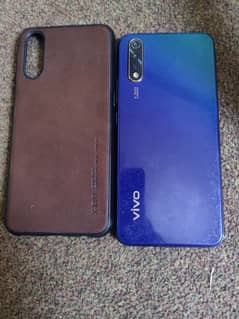 vivo