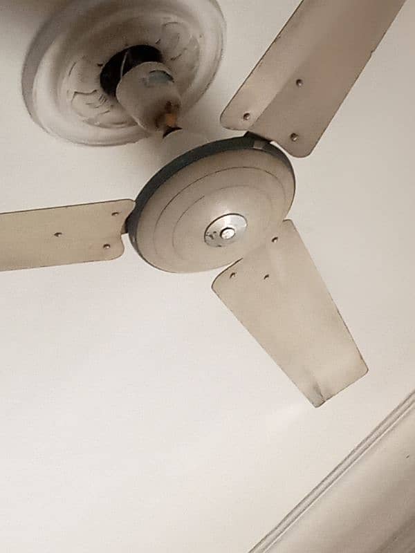 ceiling fan metro 0