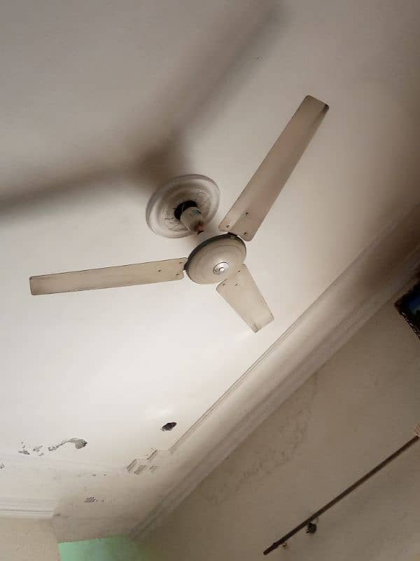 ceiling fan metro 1