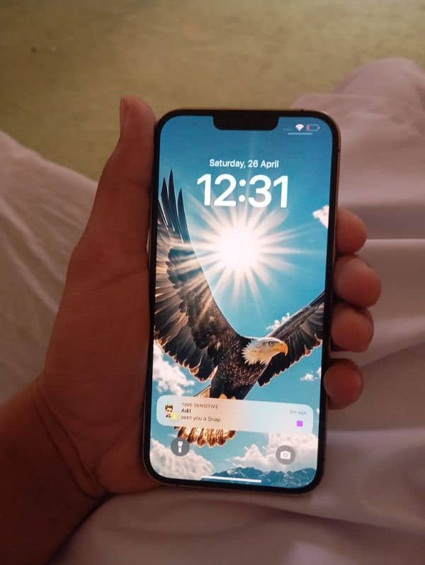 iPhone 13 pro max 256 2