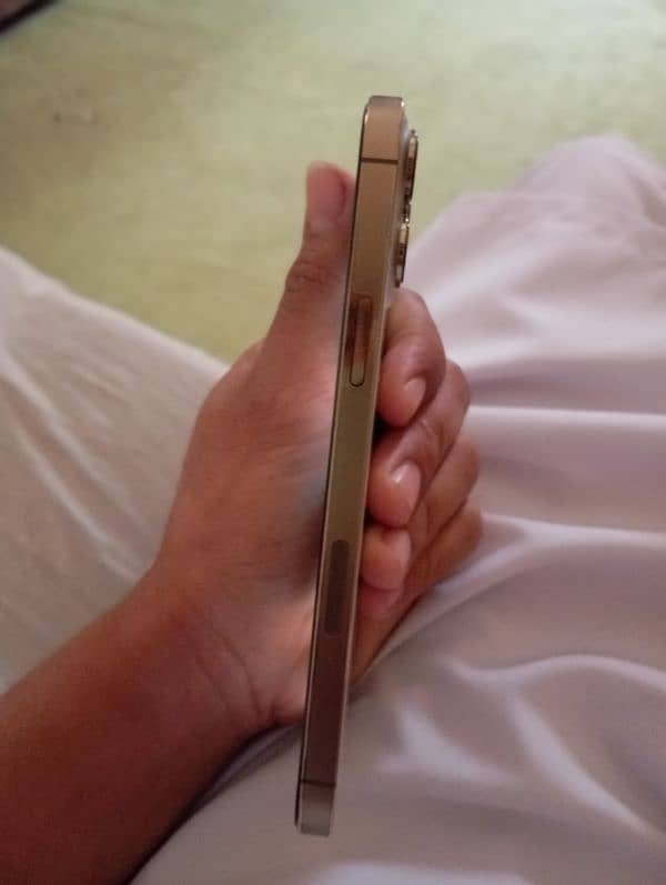iPhone 13 pro max 256 3