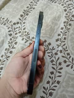 12pro