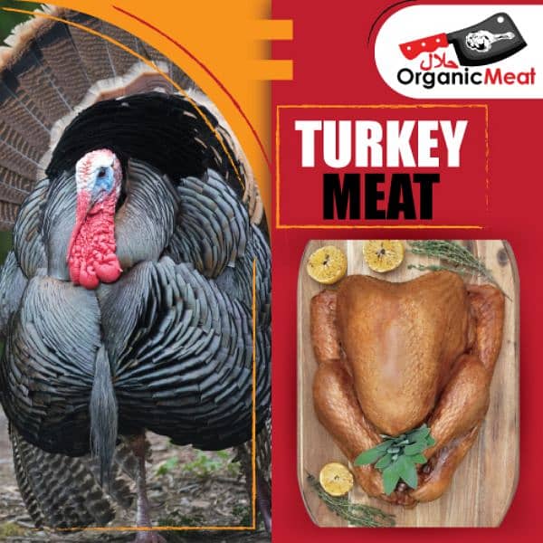 Fresh Turkey Meat Available @2500 KG 0