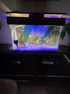 Fish Aquarium with fishes in reasonable price
