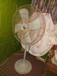 Fan