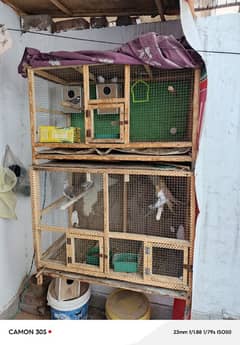 2 WOODEN CAGES 1 IRON CAGE NOT DAMAGE BUDGIES COCKTAIL PINJRA