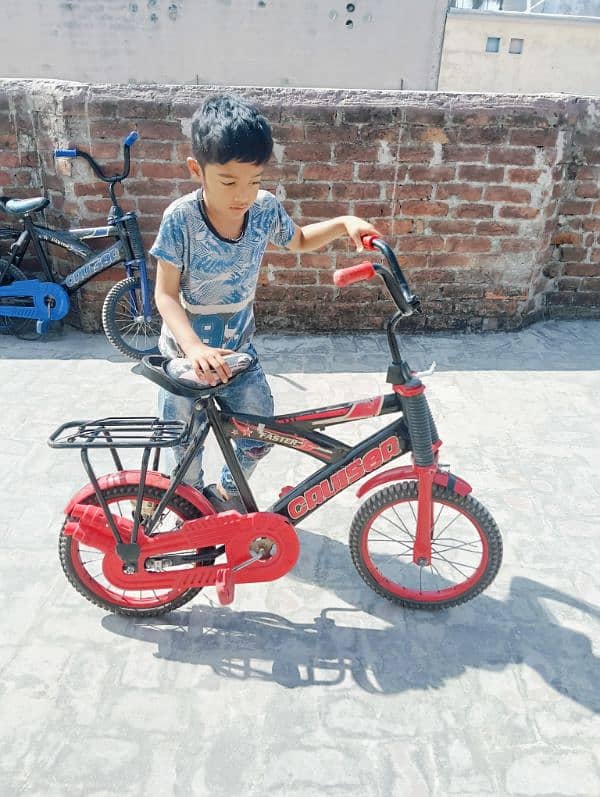 kidz cycle 1