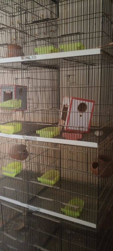 1 month used 8 portion thick wire cage used for parrots. 0