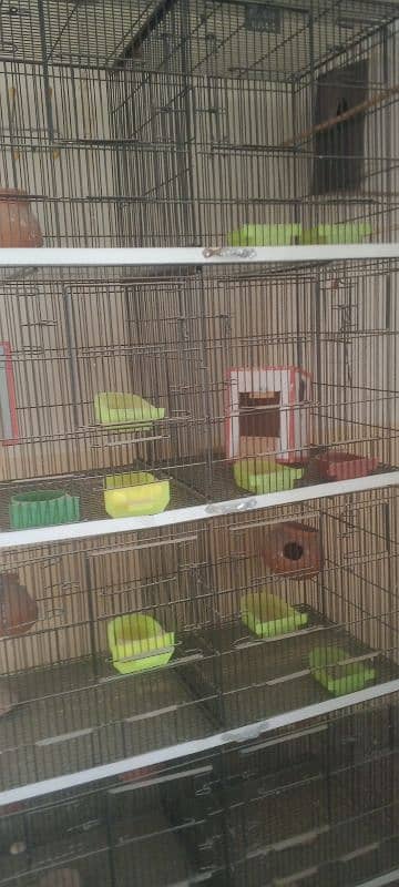 1 month used 8 portion thick wire cage used for parrots. 2