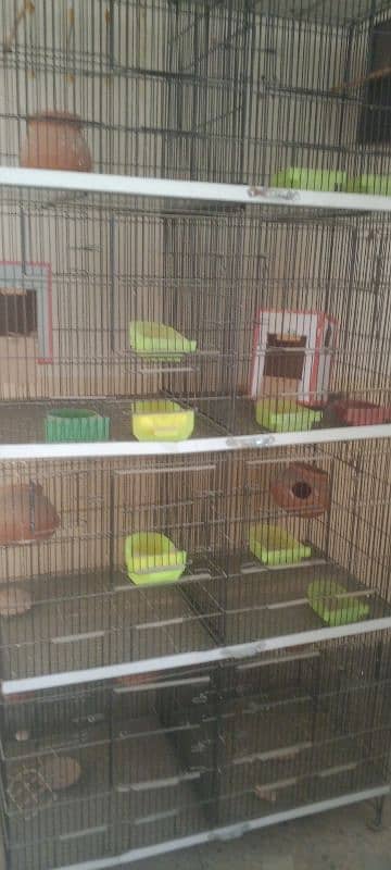 1 month used 8 portion thick wire cage used for parrots. 3