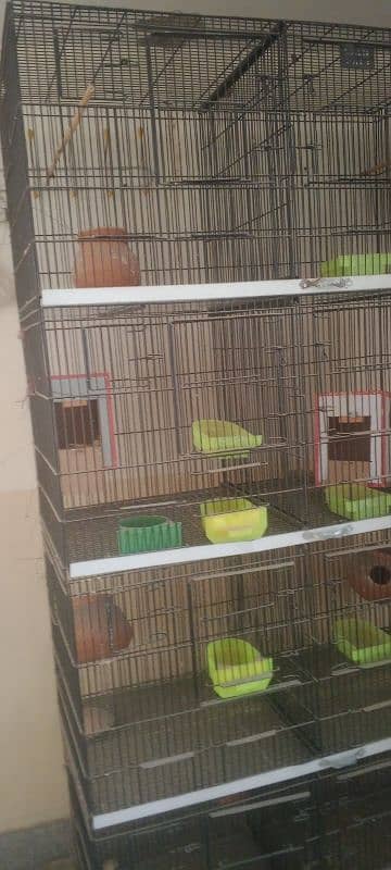 1 month used 8 portion thick wire cage used for parrots. 4