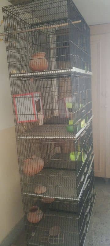 1 month used 8 portion thick wire cage used for parrots. 5