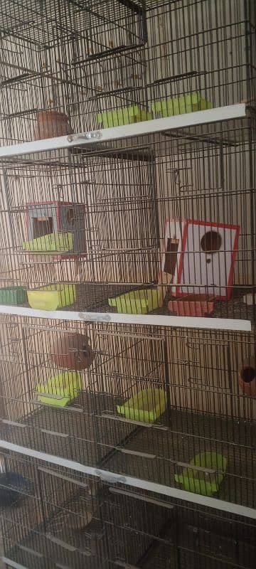 1 month used 8 portion thick wire cage used for parrots. 6