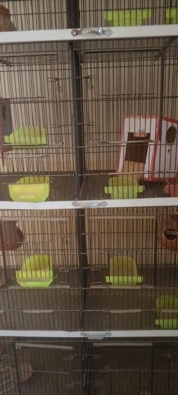1 month used 8 portion thick wire cage used for parrots. 7