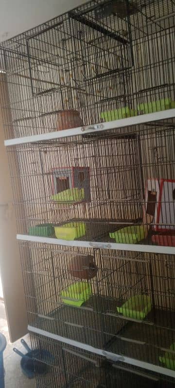 1 month used 8 portion thick wire cage used for parrots. 10