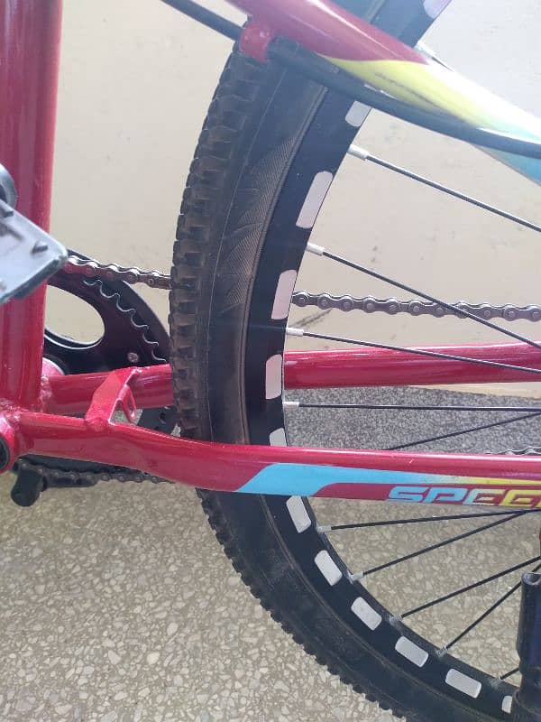 The Best Bicycle 1