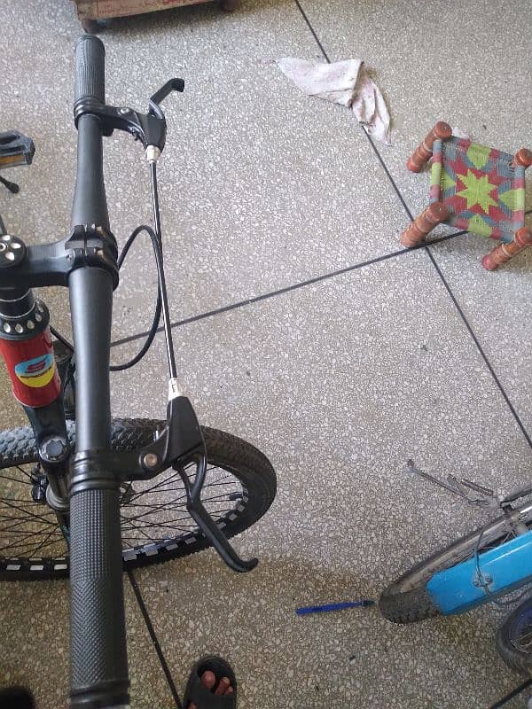 The Best Bicycle 3