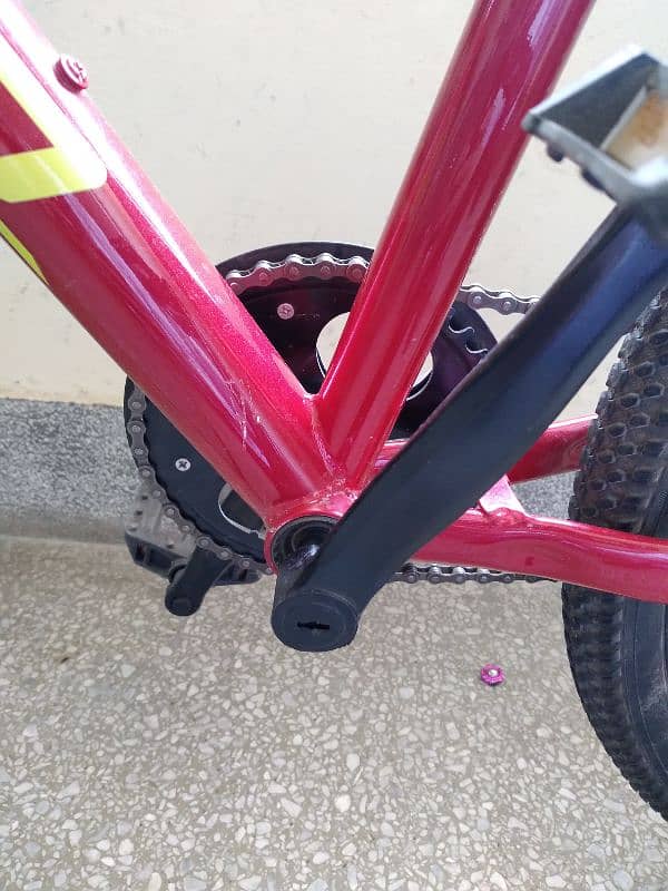 The Best Bicycle 5