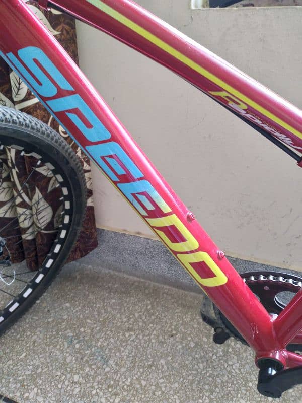 The Best Bicycle 7