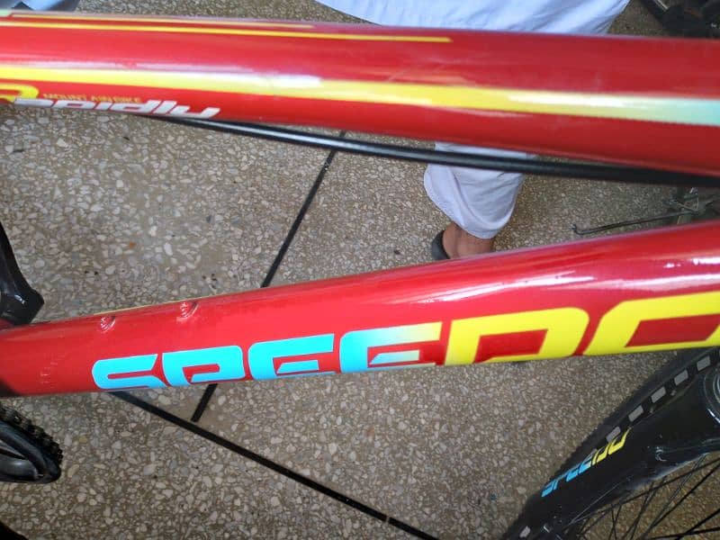 The Best Bicycle 8