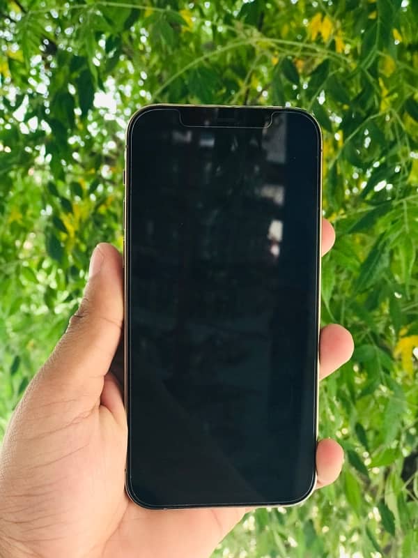Iphone 12 Pro Dual Official approved for sale With full box 10/10 4