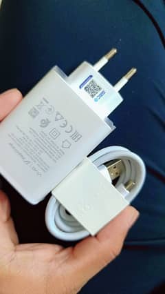 Vivo v40 charger