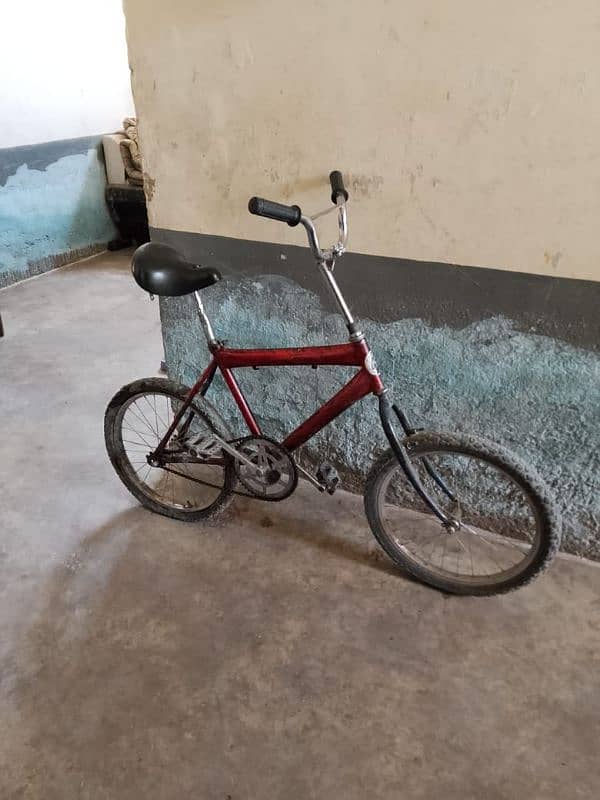 altar rider cycle for sell 52 12   racing cycle for sell 0