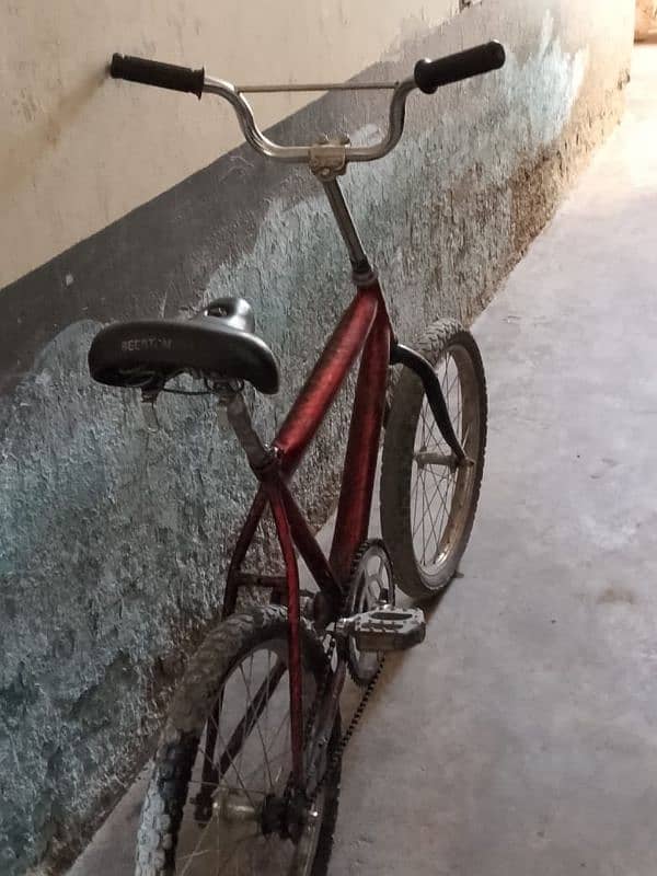 altar rider cycle for sell 52 12   racing cycle for sell 1