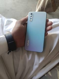 vivo