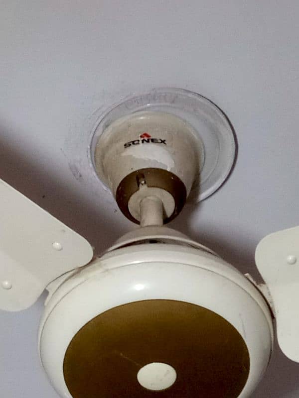ceiling fan 0