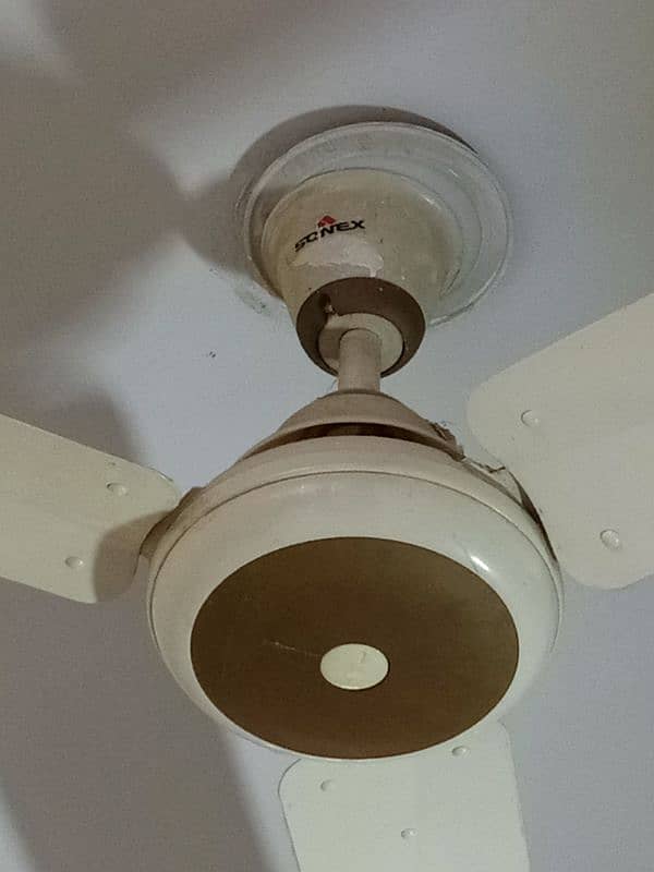 ceiling fan 2
