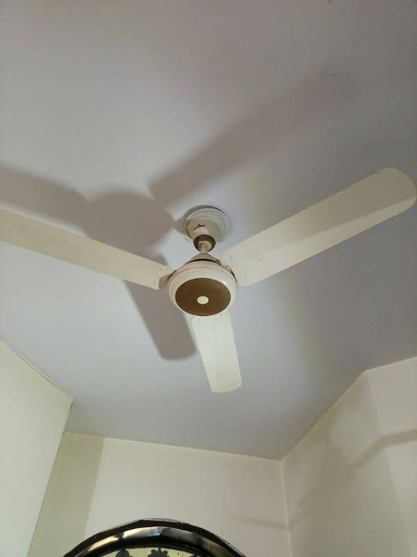 ceiling fan 3