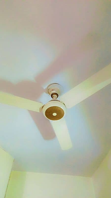 ceiling fan 4