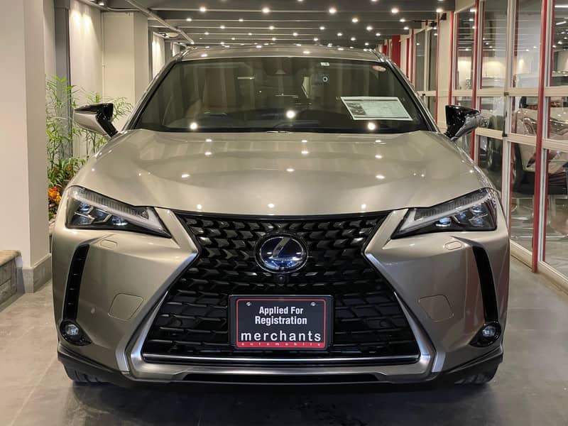 Lexus UX300e 2021 L 3