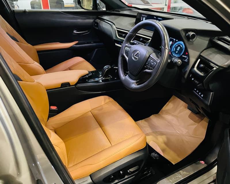 Lexus UX300e 2021 L 6