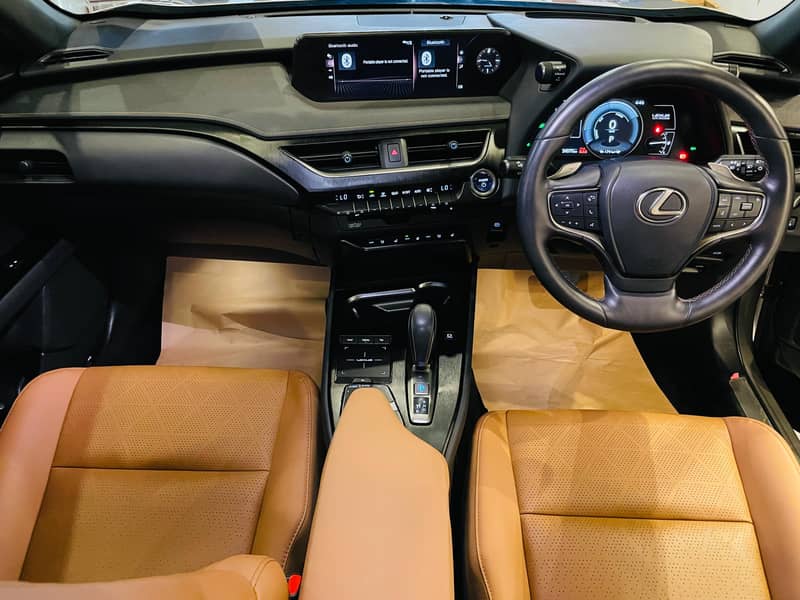 Lexus UX300e 2021 L 8