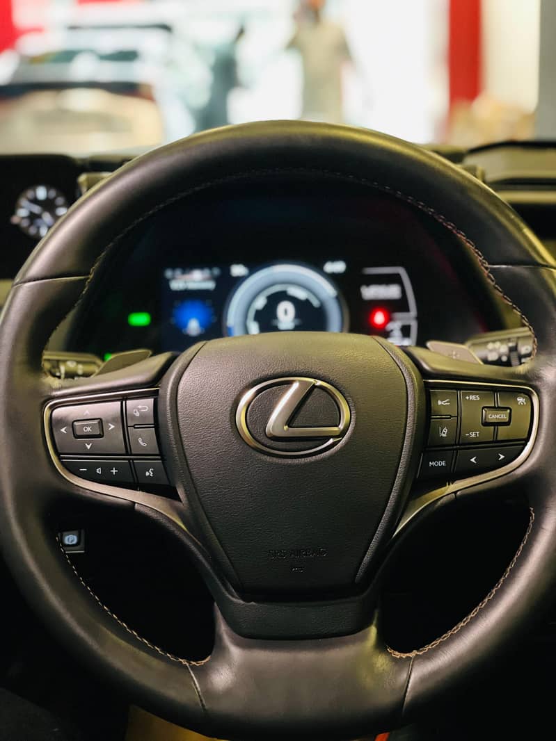 Lexus UX300e 2021 L 12