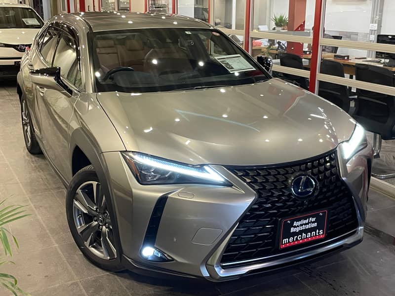 Lexus UX300e 2021 L 17