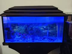 Aquarium