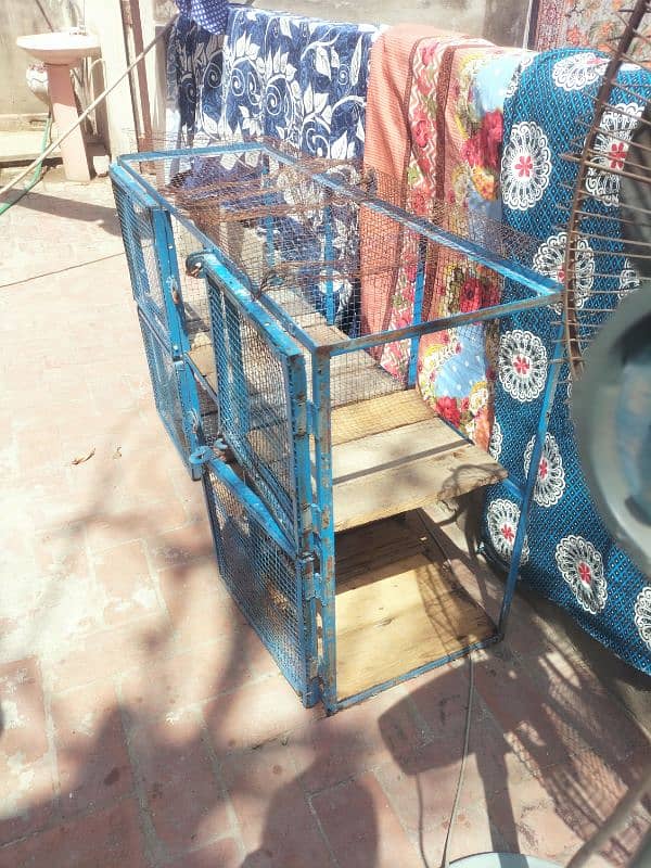 pigeon cage 1