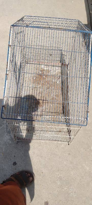 cage for birds 4