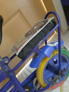 Bicycle with training wheels