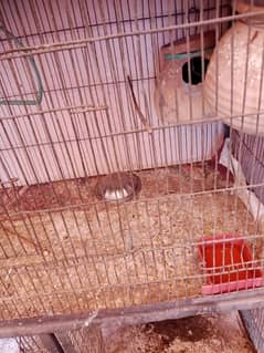 pinjra used condition 10 by8 full OK urgent sell